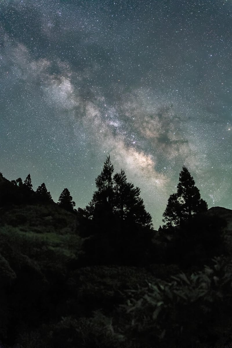 Star Map Poster