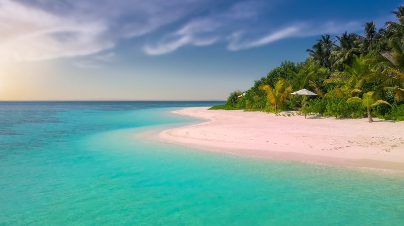 Moonlit Beach